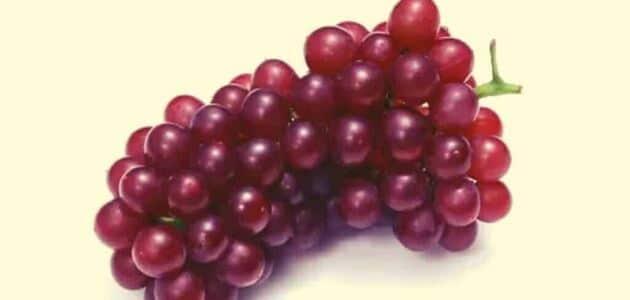 فوائد العنب للحامل الأحمر والأخضر والأسود